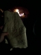 the map unfurled