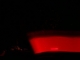 red on the run
