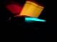 neon fish