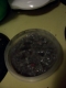 bowl of pulp