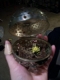 fairy cage 2