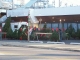 Christmas tree lot