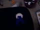 gluing on felt backing with pin