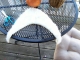 cutting the fake fur