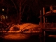 night 006.jpg