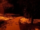 night 008.jpg