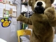 papa bear is angry