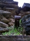 metal structure, slate bricks, and plants