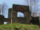 trees growing inside the ruins