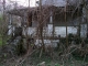 porch and vines
