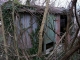 ruins 46.jpg