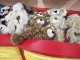 creepy limp animal skins creepy limp animal skins