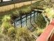 pond