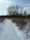the path ahead