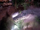 animatronic alligator