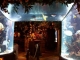 aquarium tunnel