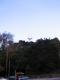 Forrest Hill