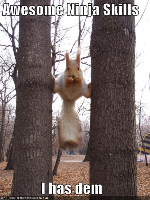we must all fight Squiads ! even the ninja squirls do their part
