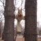 we must all fight Squiads ! even the ninja squirls do their part